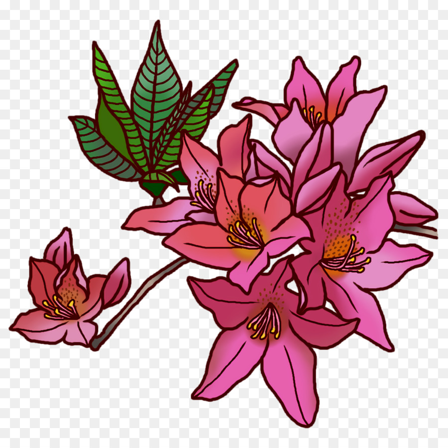 Flores Cor De Rosa，Florescer PNG