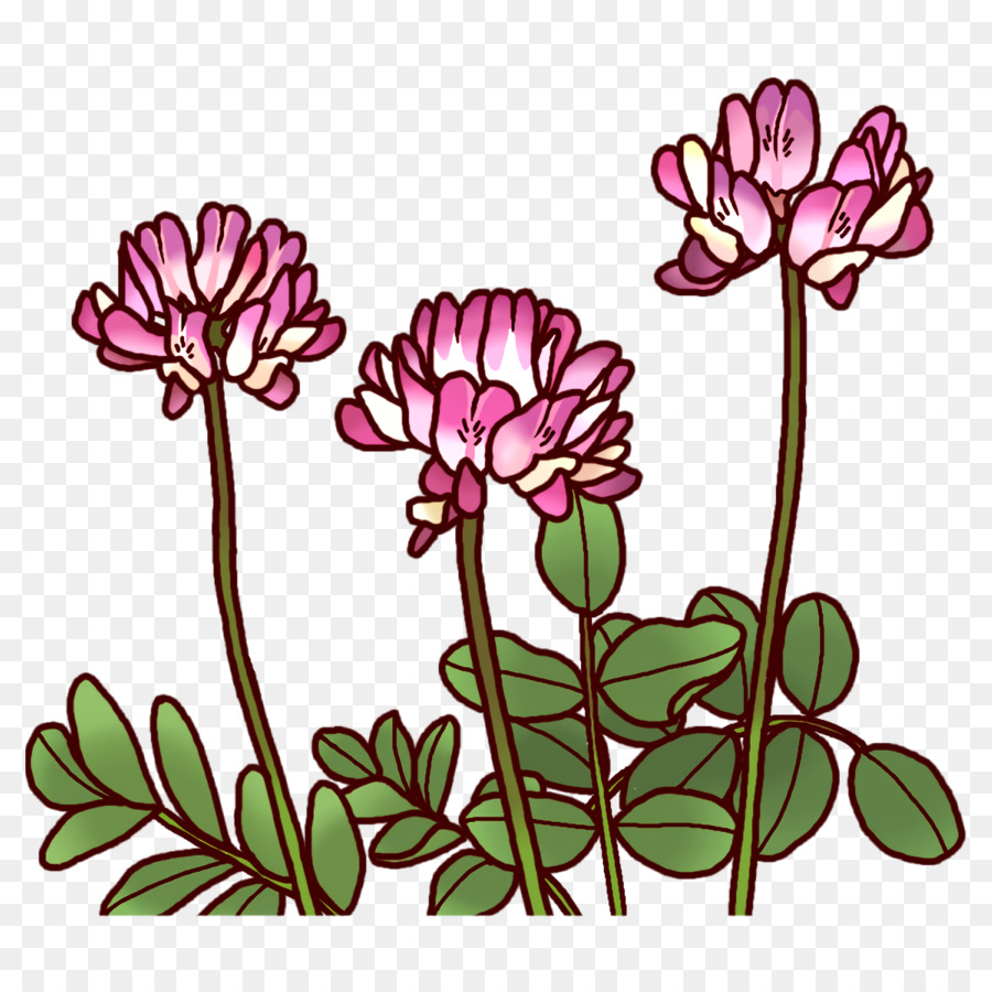 Desenho Floral，Caule Da Planta PNG