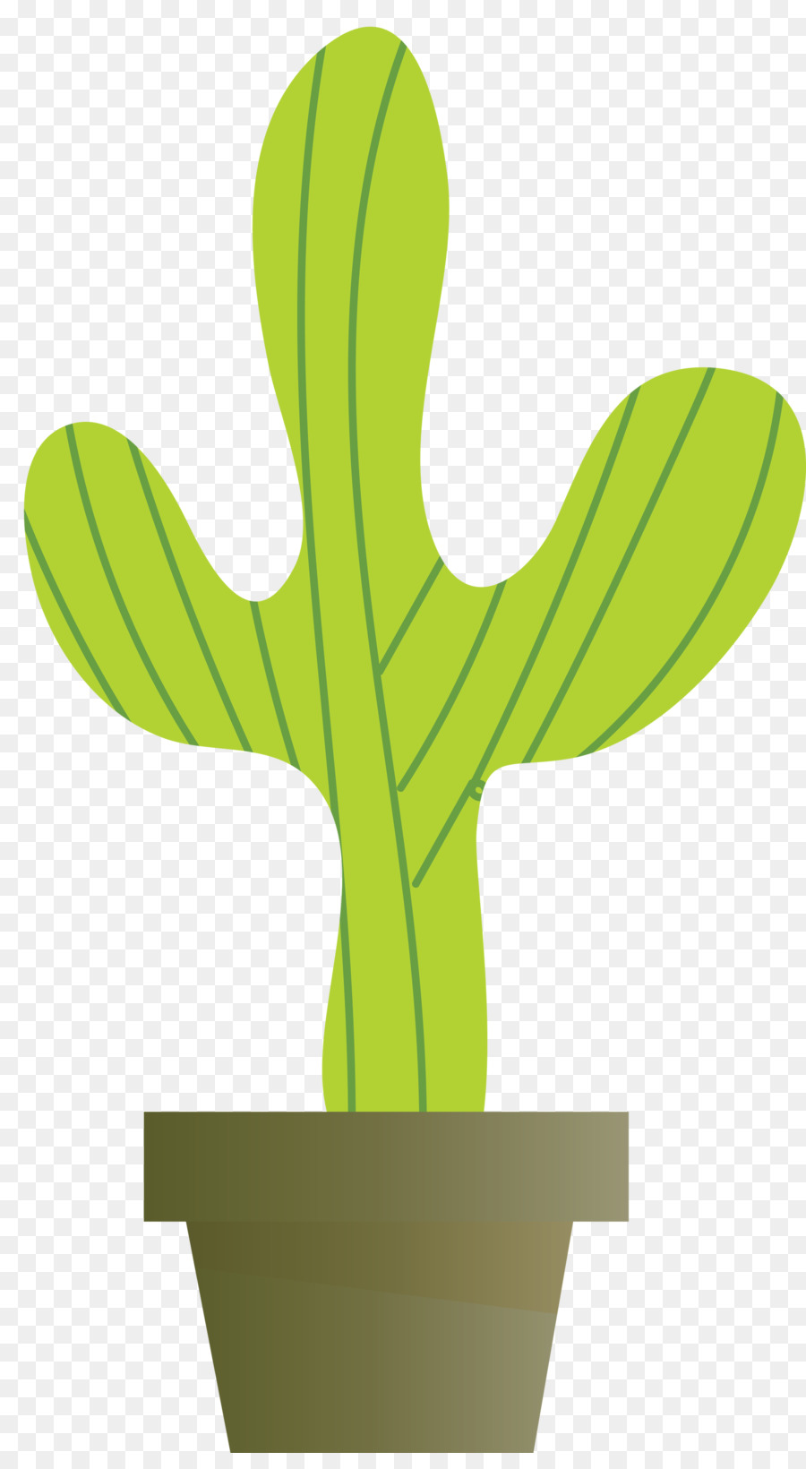 Planta De Haste，Cactus PNG