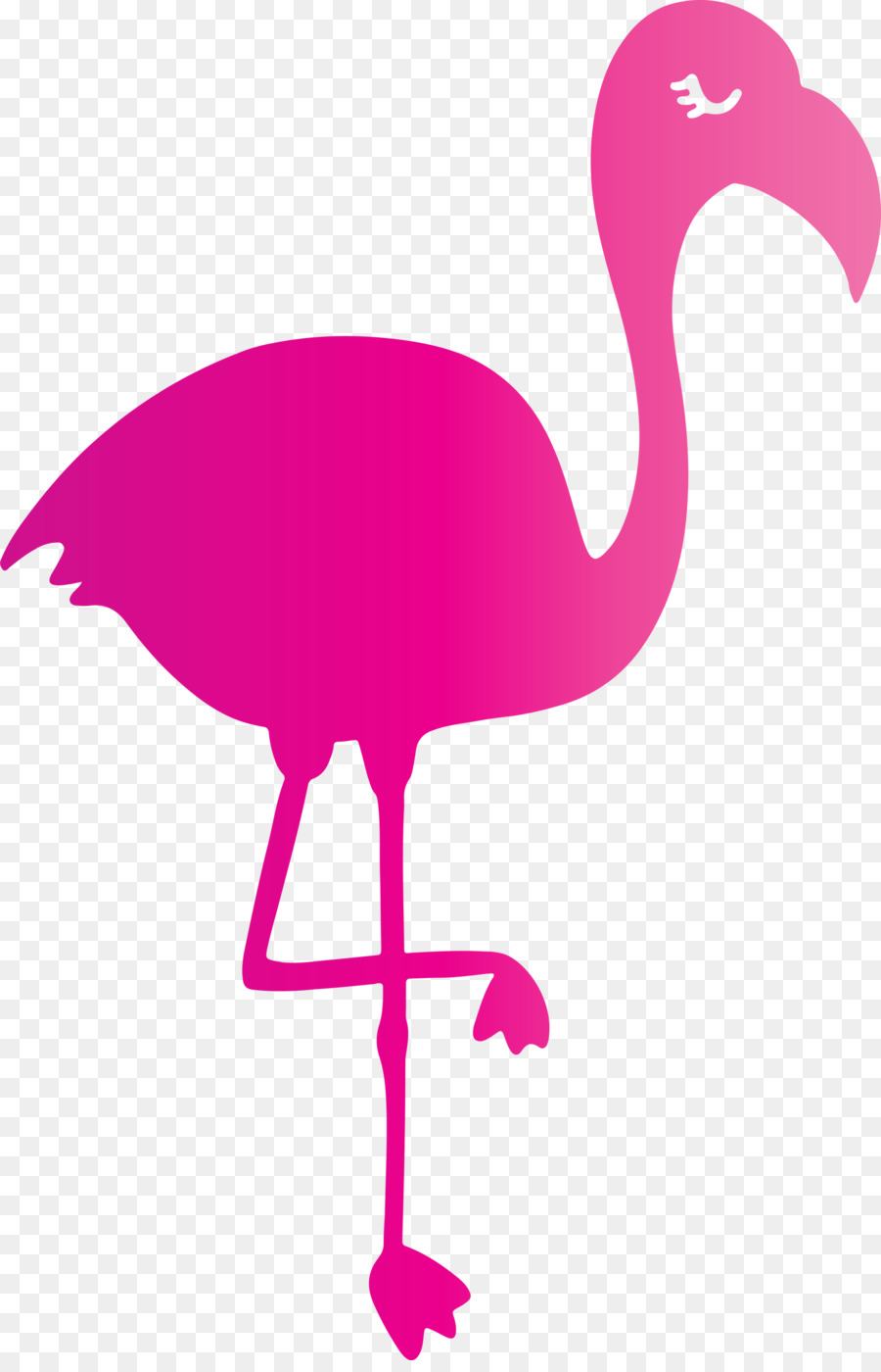 Flamingo M，Rosa M PNG