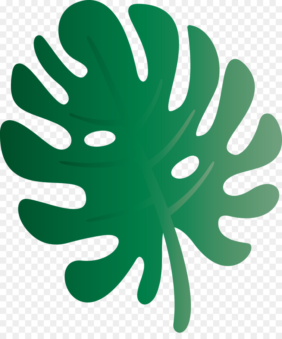 Folha Verde，Plantar PNG