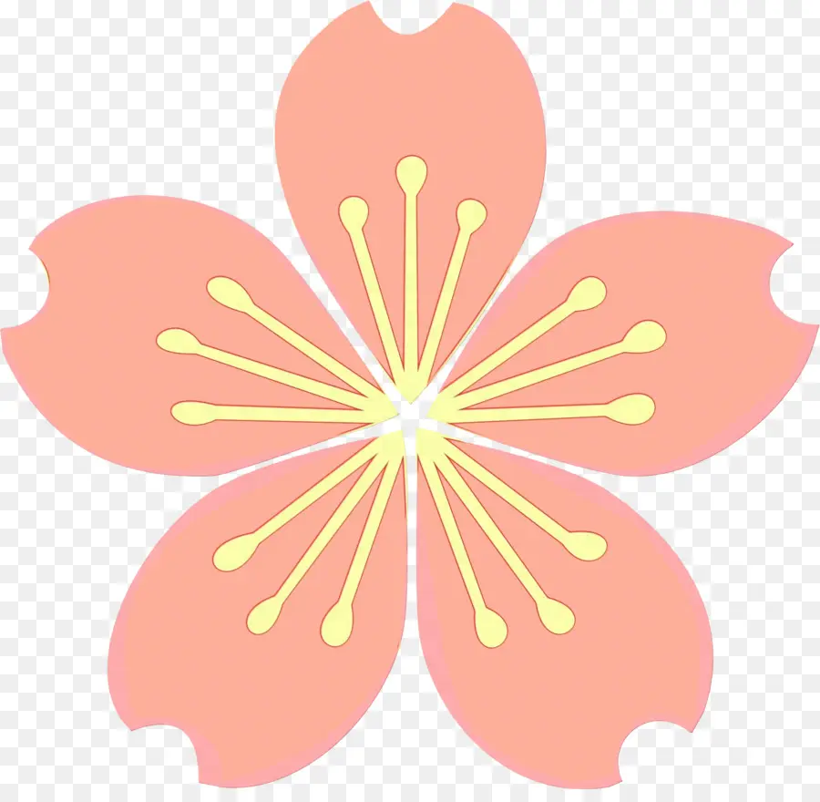 Flor De Cerejeira，Blossom PNG