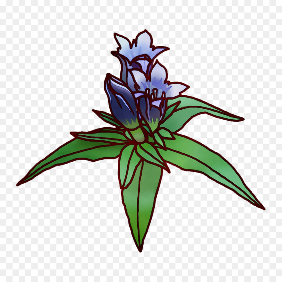 Flor Azul，Folhas Verdes PNG