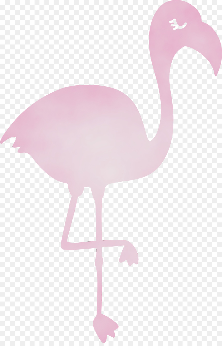 Flamingo M，Rosa M PNG