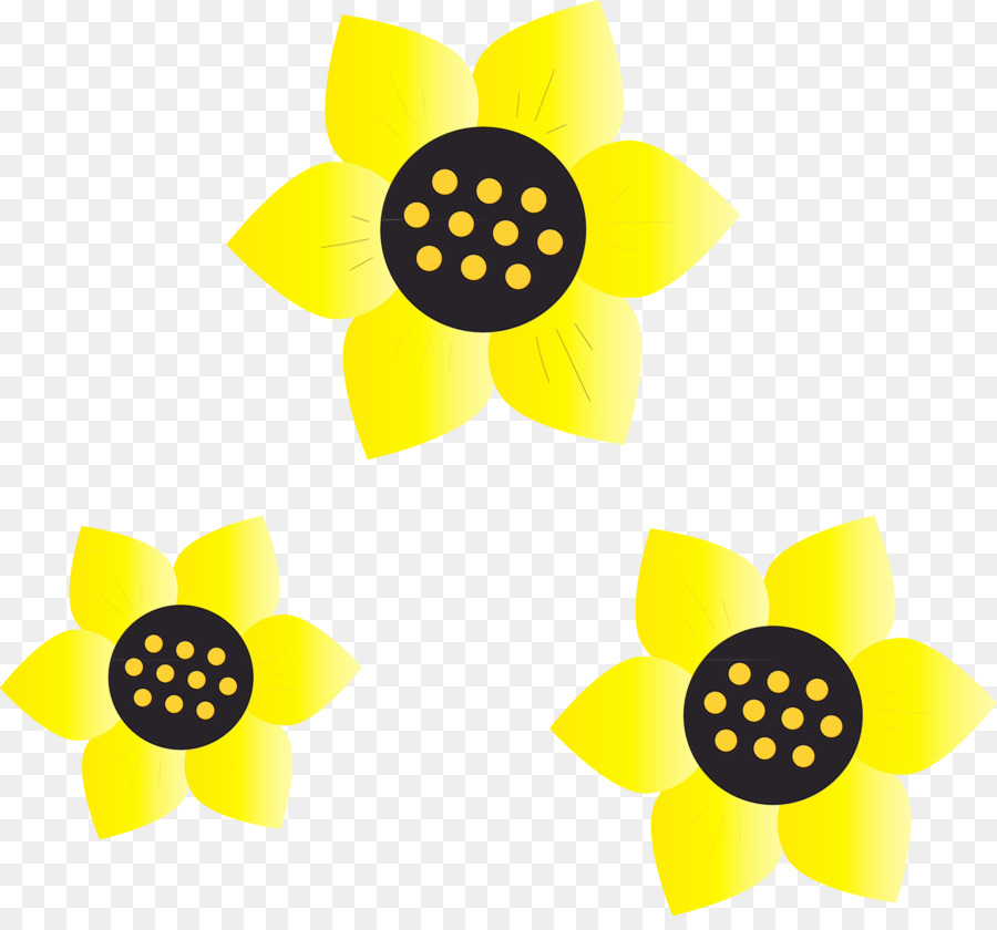 Flores Azuis，Florescer PNG