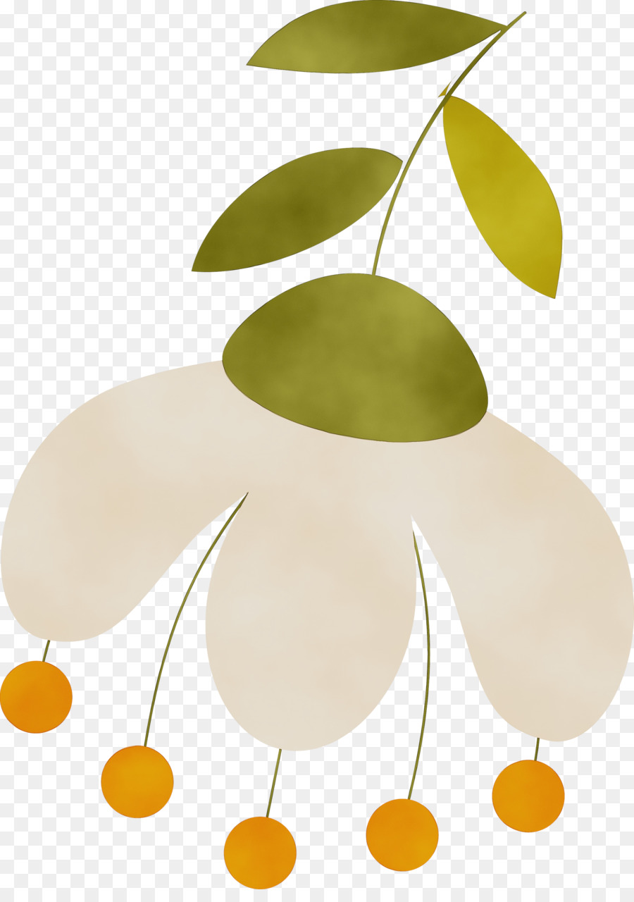 Folha，Frutas PNG