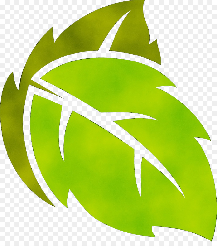 Folhas，Plantas PNG