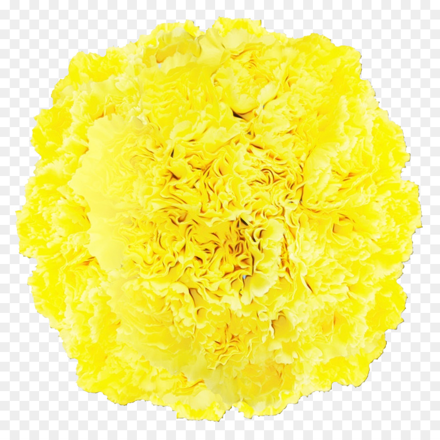 Flores De Corte，Amarelo PNG