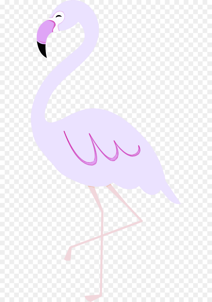 Flamingo M，Bico PNG