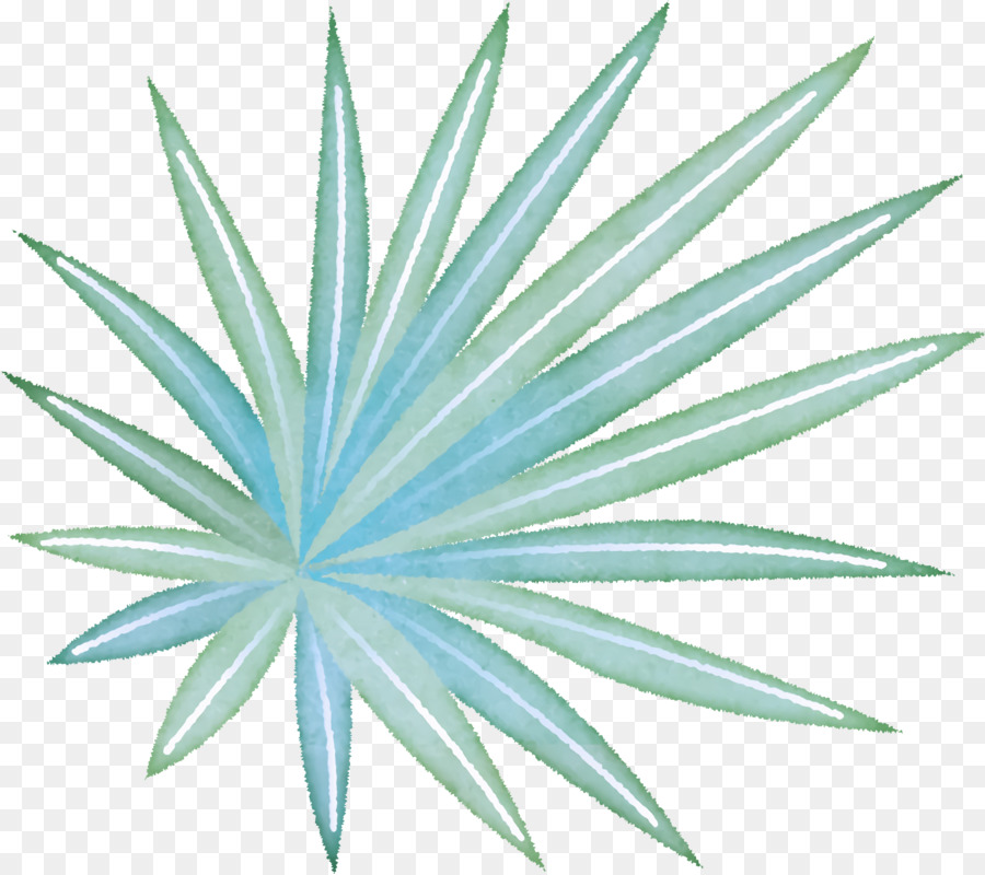 Folha，Caule Da Planta PNG