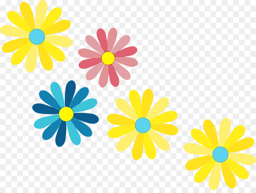 Oxeye Daisy，Design Floral PNG