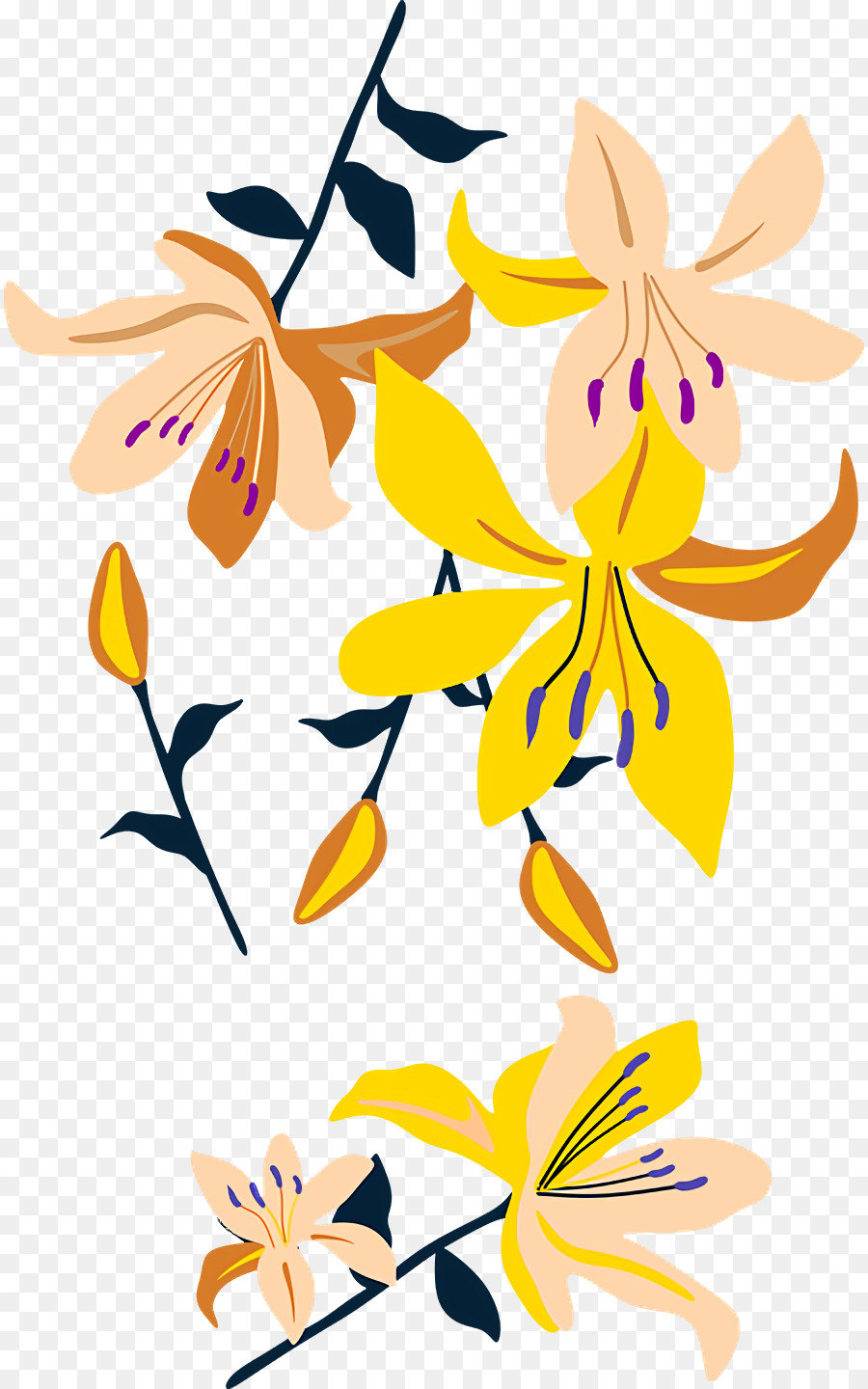 Desenho Floral，Caule Da Planta PNG