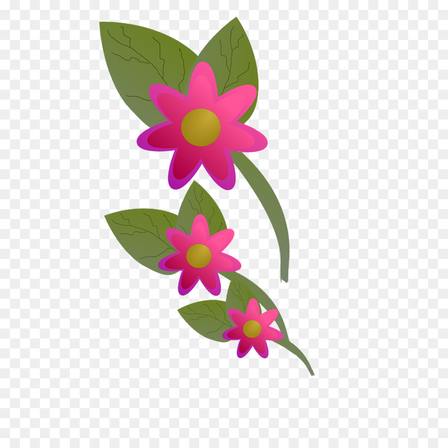 Traça Orquídeas，Pétala PNG