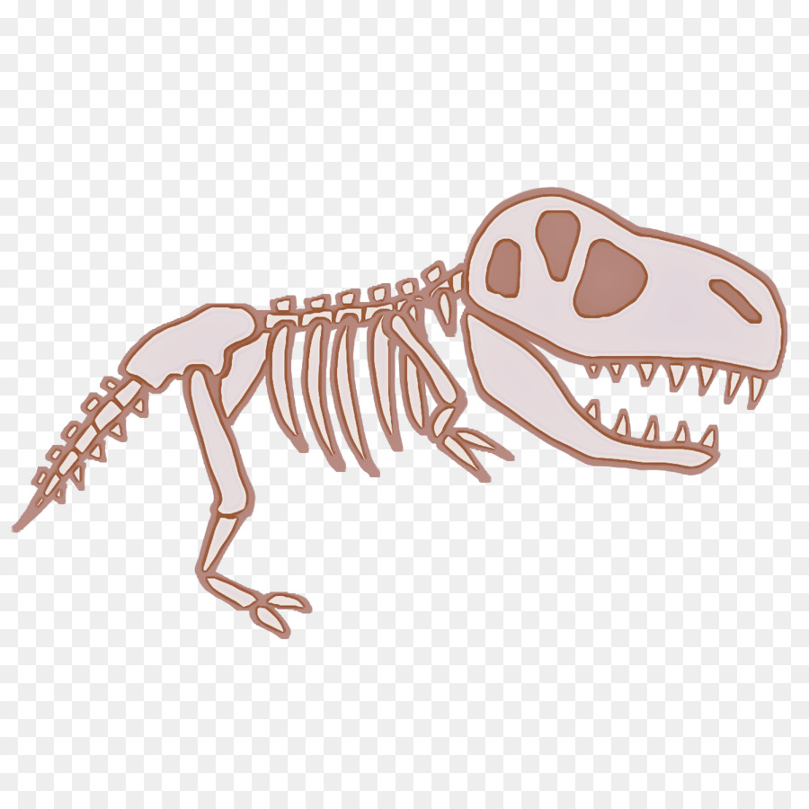 Velociraptor，Esqueleto PNG