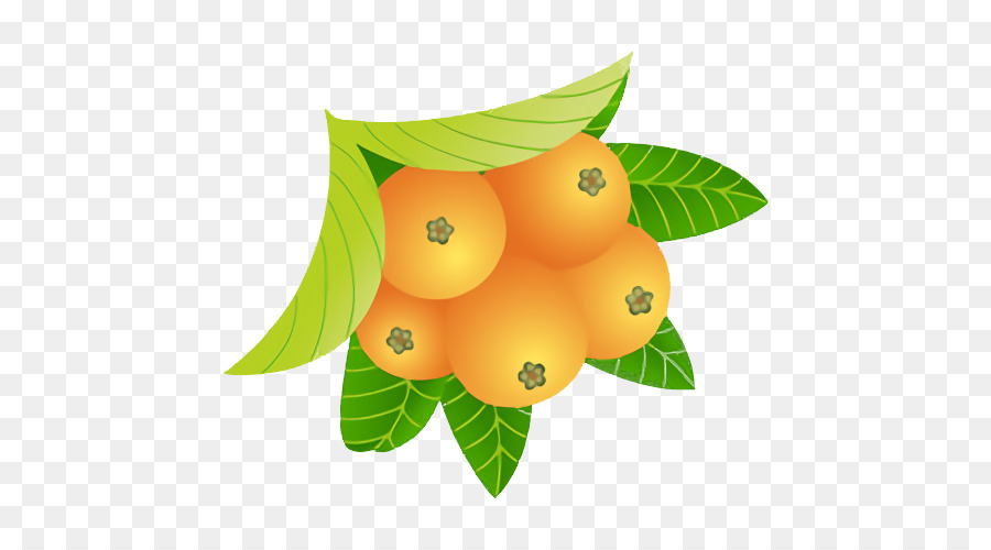 Laranja，Key Lime PNG