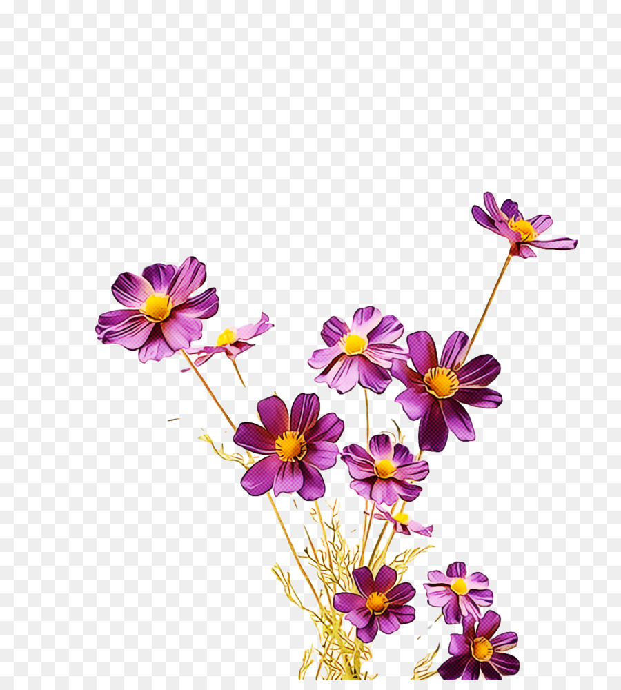 Flor，Design Floral PNG