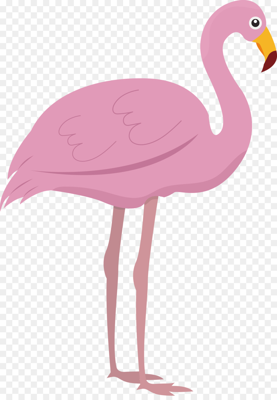 Flamingo M，é Minha Intenção PNG