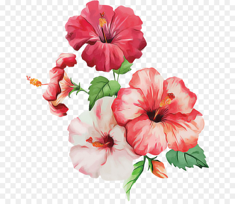 Flor Em Aquarela Hibicus PNG , Aquarela, Mão, Empate PNG Imagem para  download gratuito