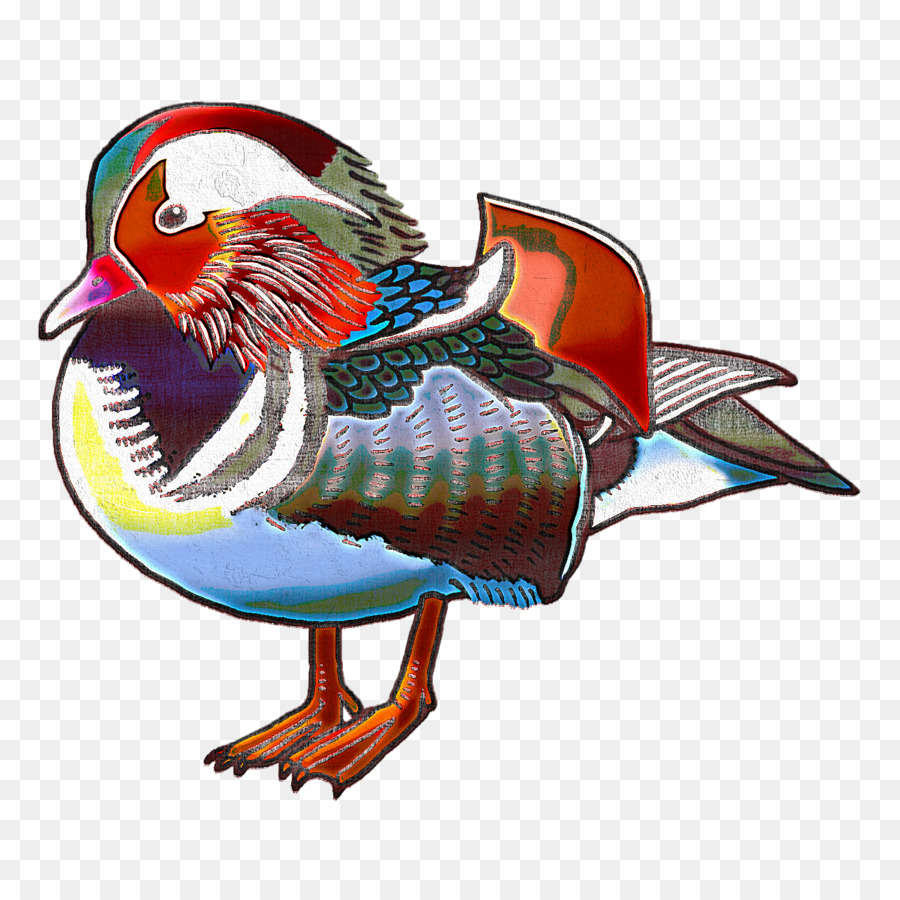 Pato，Pássaro PNG