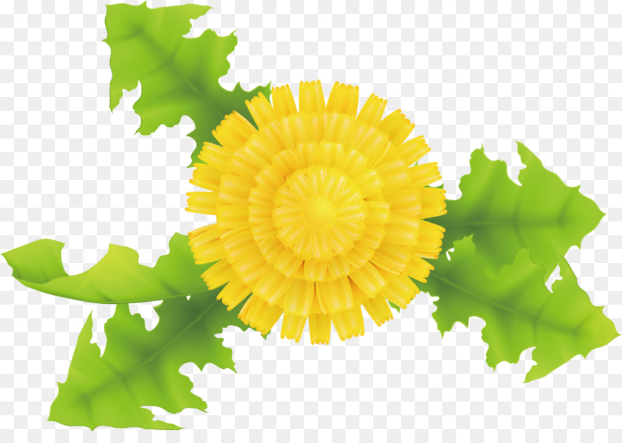 Dente De Leão，Amarelo PNG