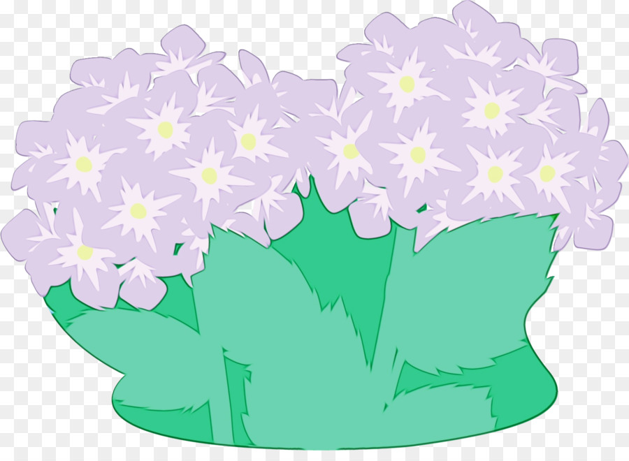 Design Floral，Folha PNG