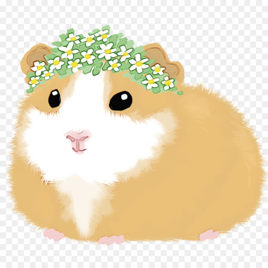 Hamster，Bigodes PNG