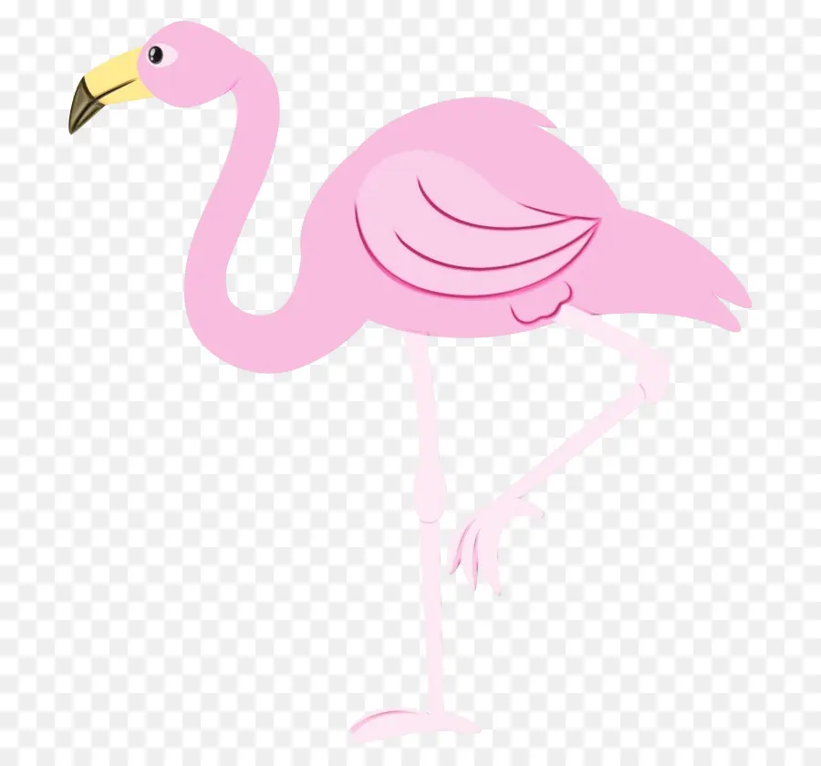 Flamingo Rosa，Pássaro PNG