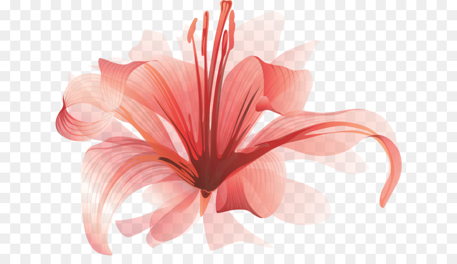 Flor，Rosa PNG