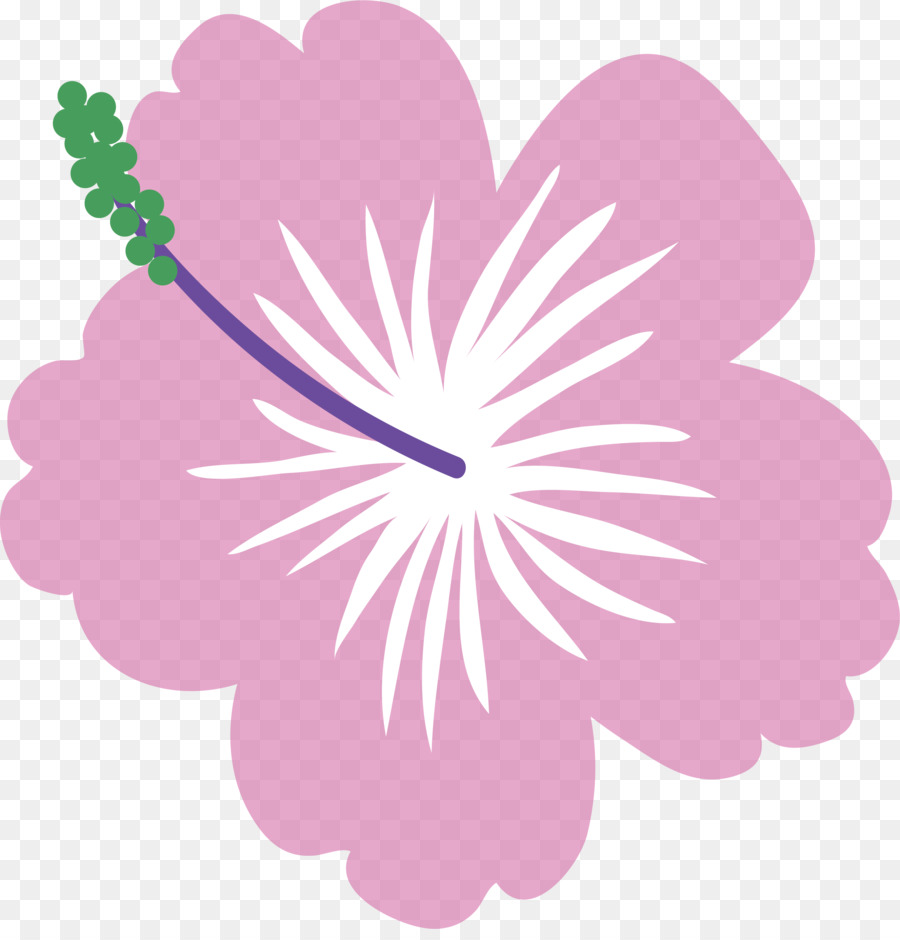 Design Floral，Rosa M PNG