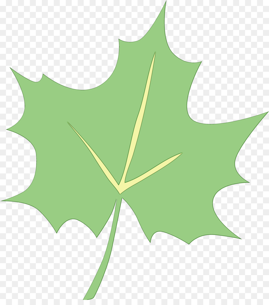 Maple Leaf，Planta De Haste PNG