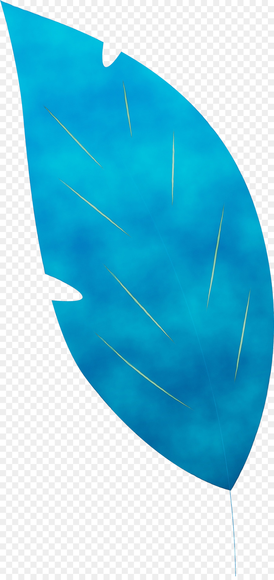 Folha Azul，Natureza PNG