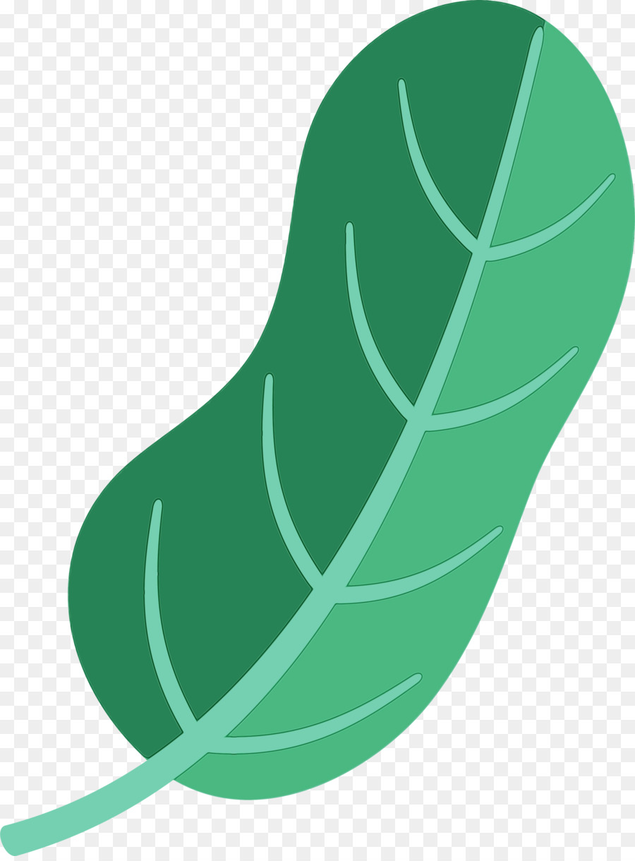 Folha，Verde PNG