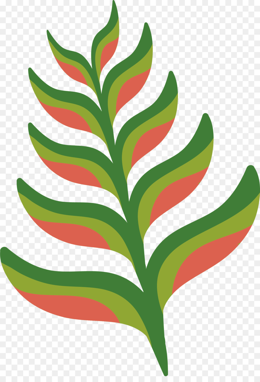 Planta De Haste，Folha PNG