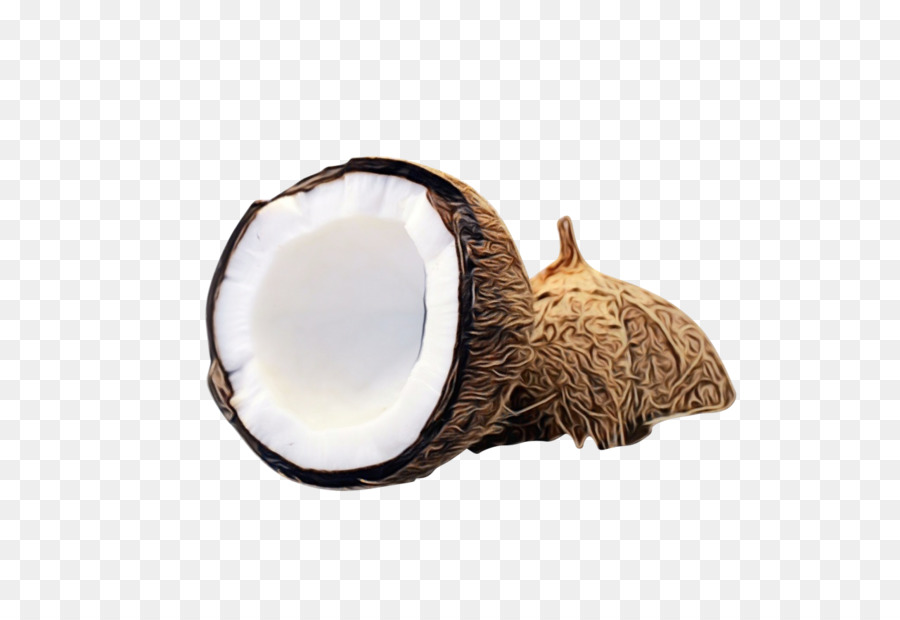 Coco，água De Coco PNG