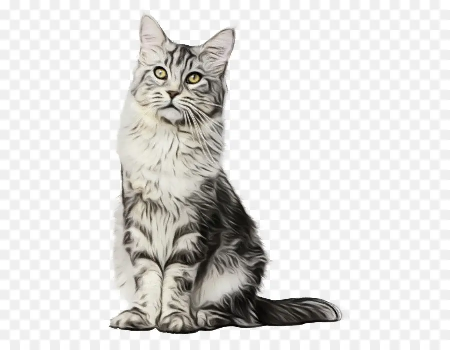 Gatinho，American Shorthair PNG