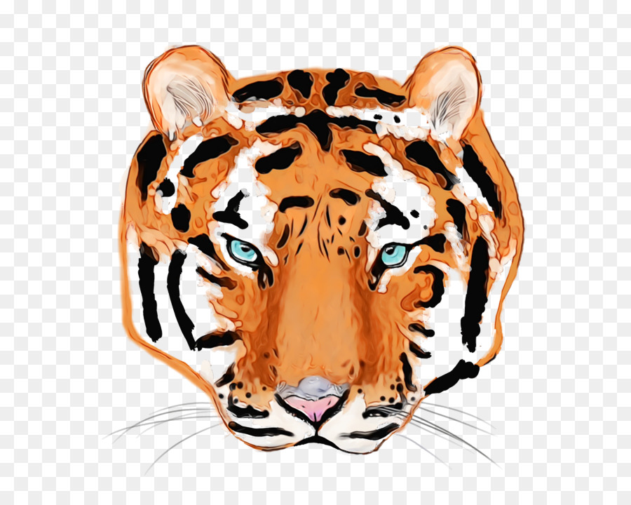 Tigre，Bigodes PNG