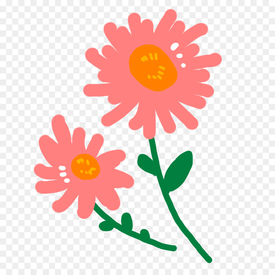 Transvaal Daisy，Oxeye Daisy PNG