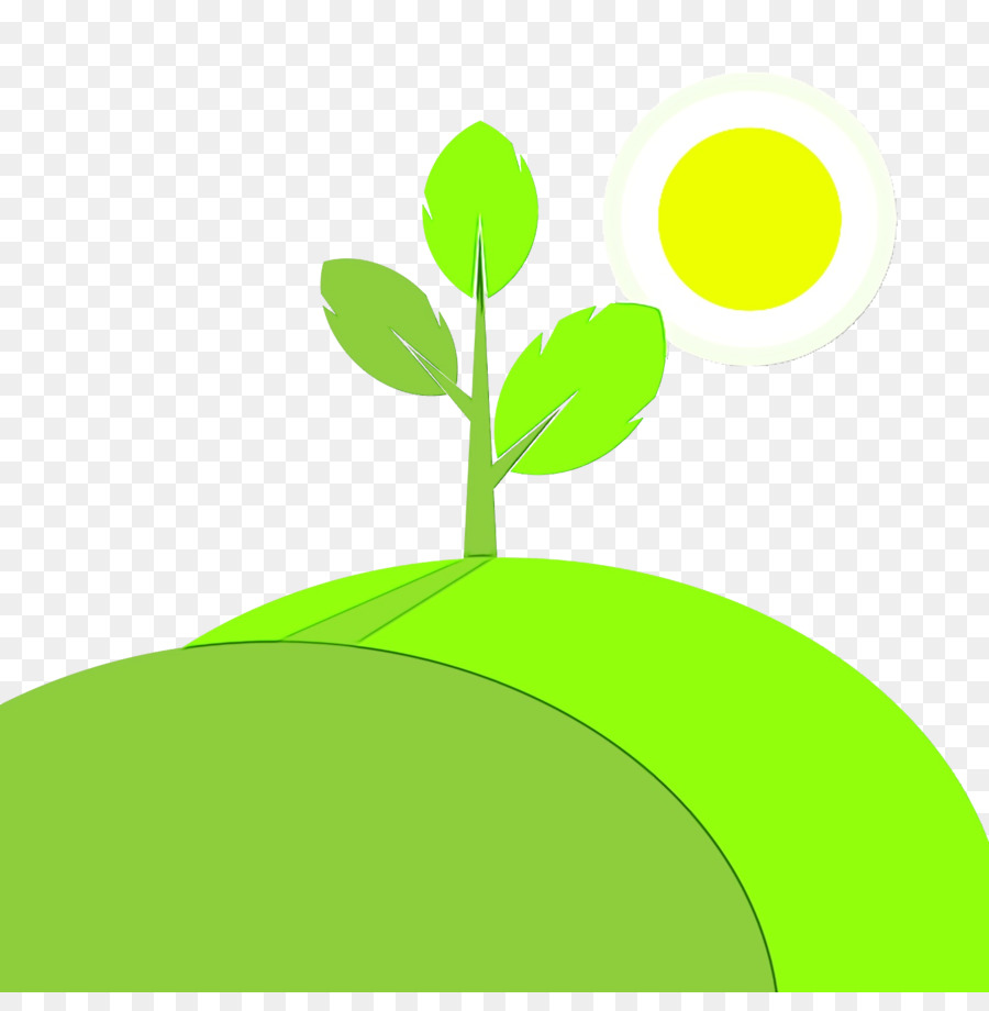 Planta De Haste，Folha PNG