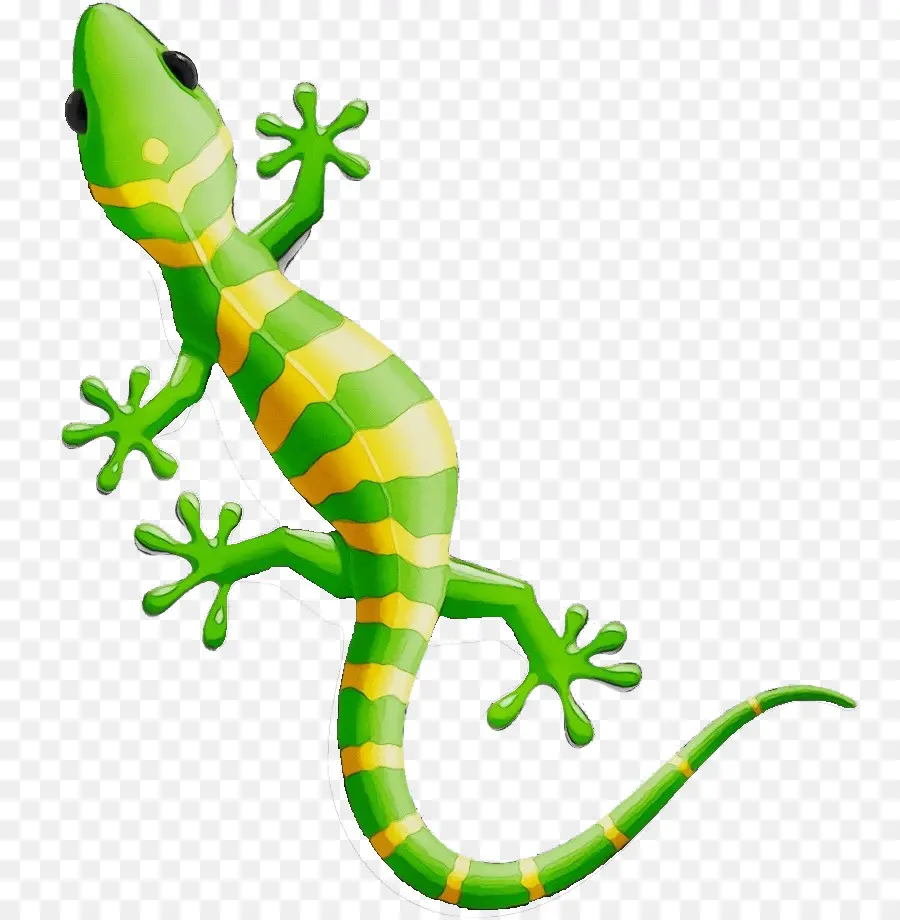Gecko，Mulheres De Jóias PNG