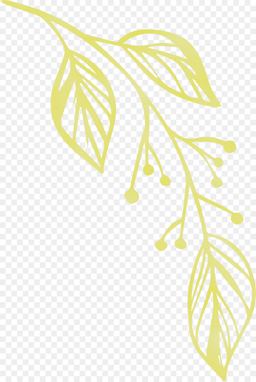 Caule Da Planta，Folha PNG