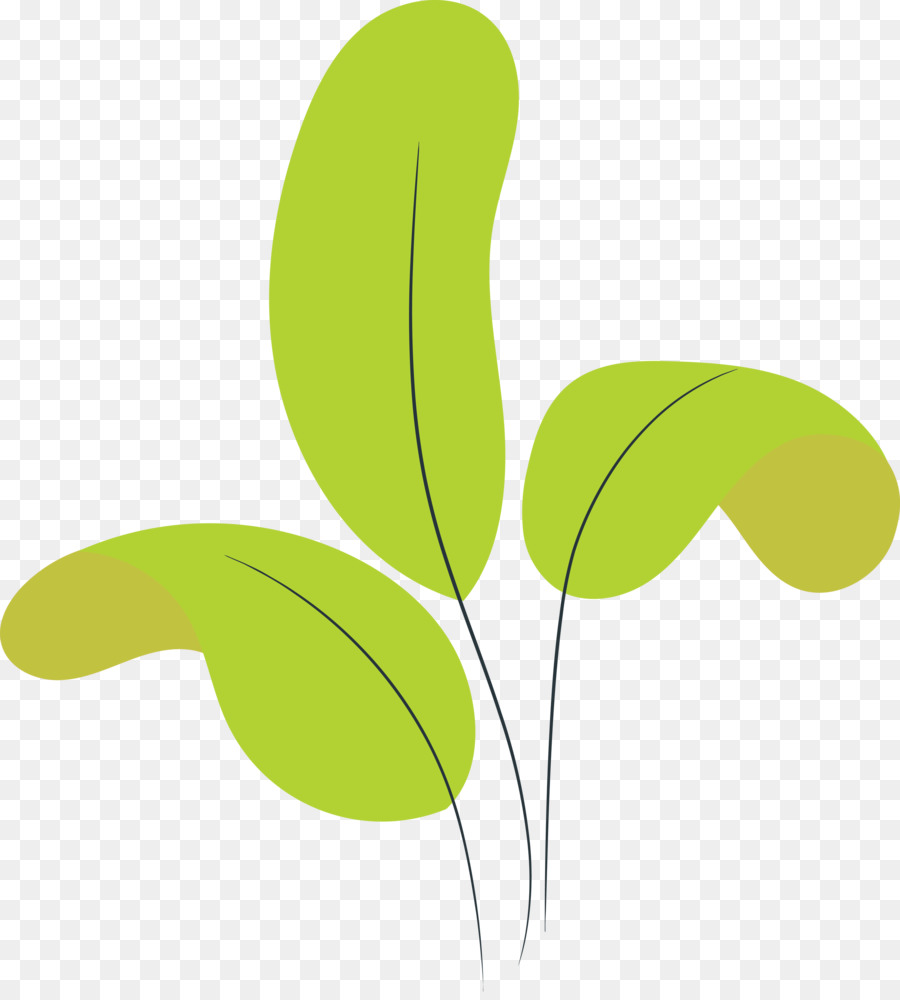 Folhas Verdes，Plantar PNG