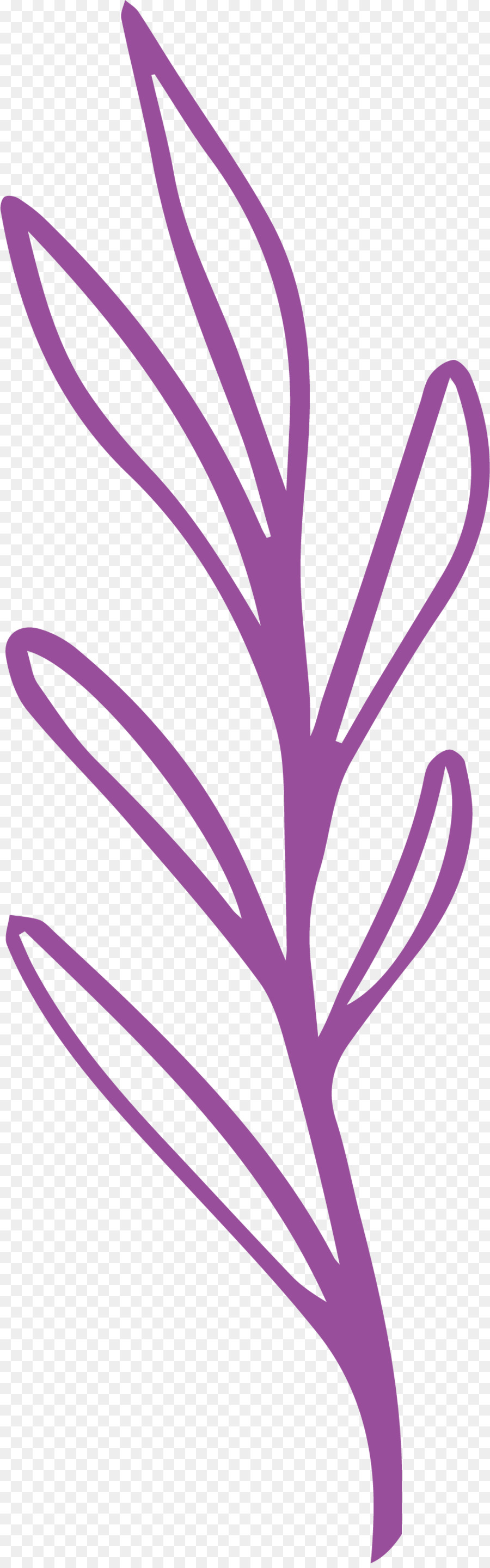 Planta Rosa，Folha PNG