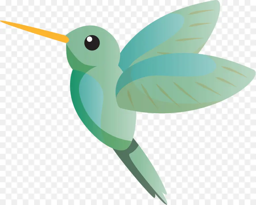 Colibri，Pássaro PNG