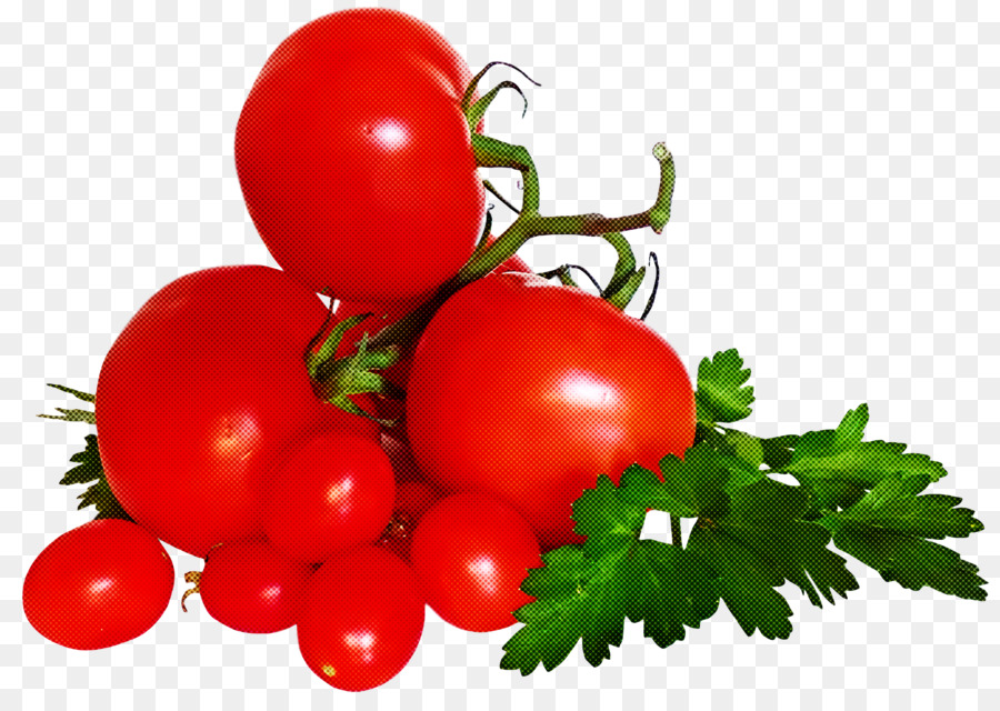 Bush Tomate，O Suco De Tomate PNG