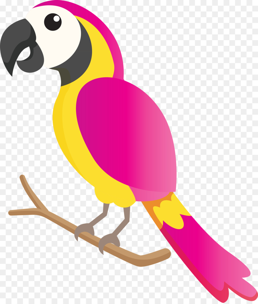 Papagaios，Aves PNG