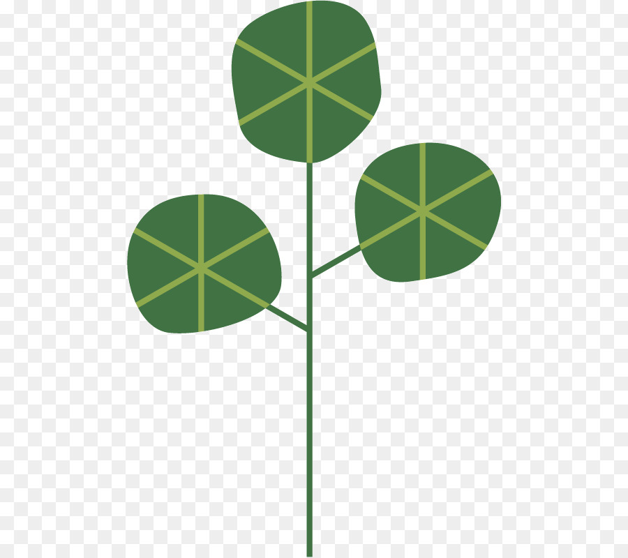 Folha，Verde PNG