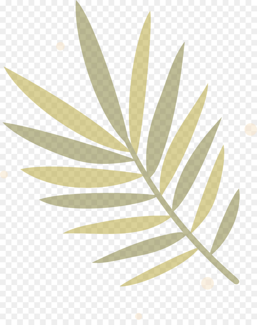 Folha，Natureza PNG