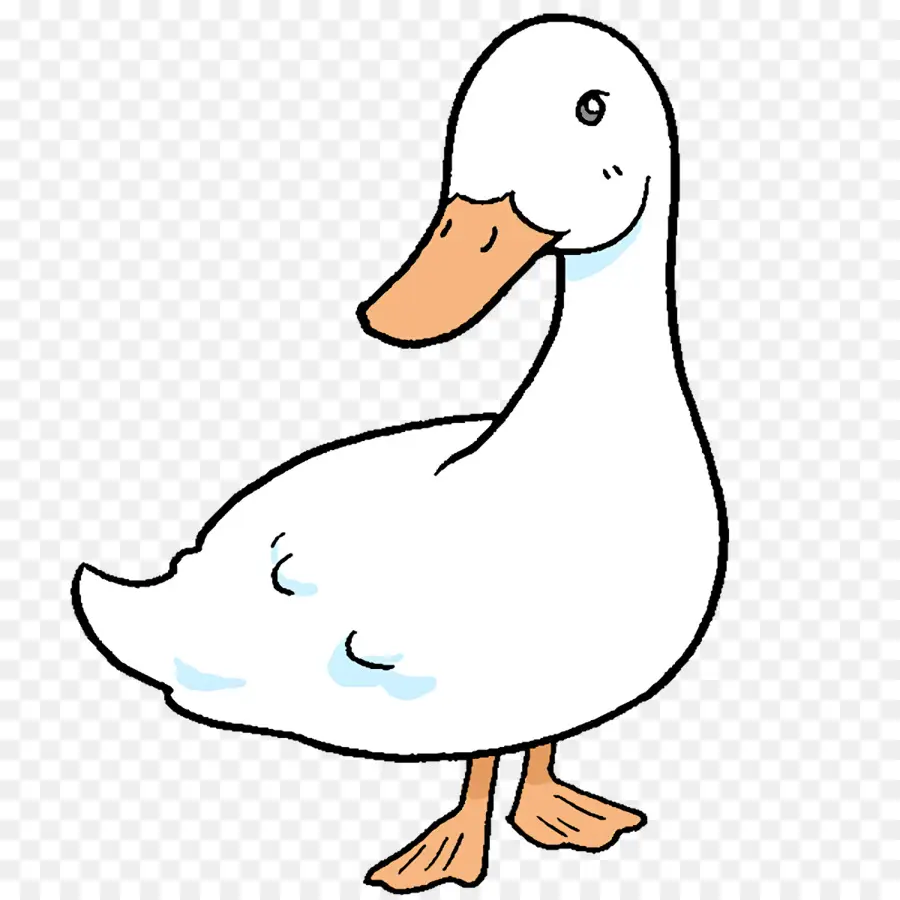 Pato，Pássaro PNG