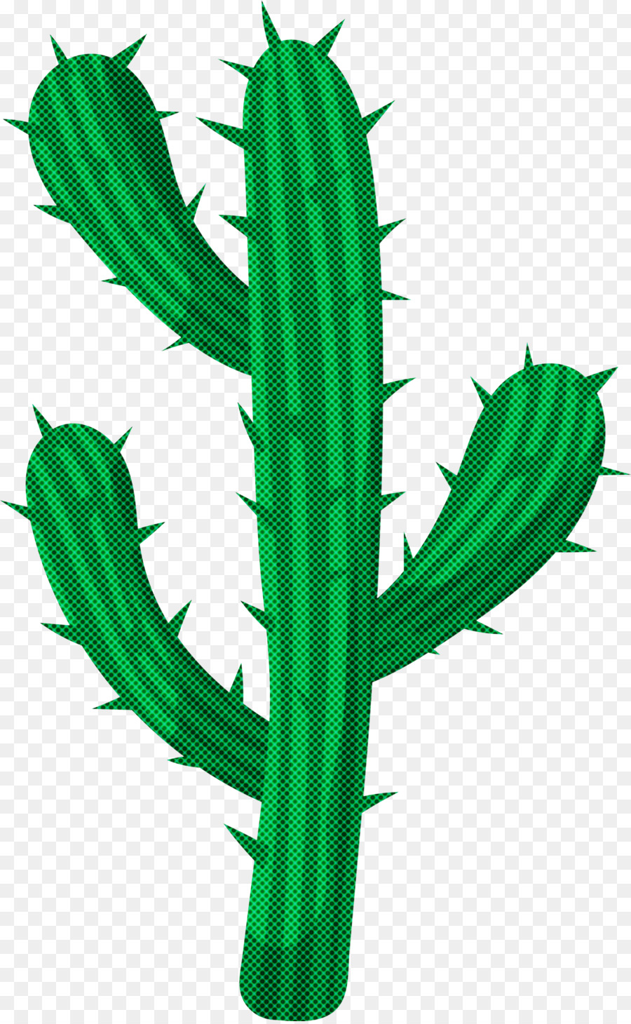 Cactus，Planta De Haste PNG