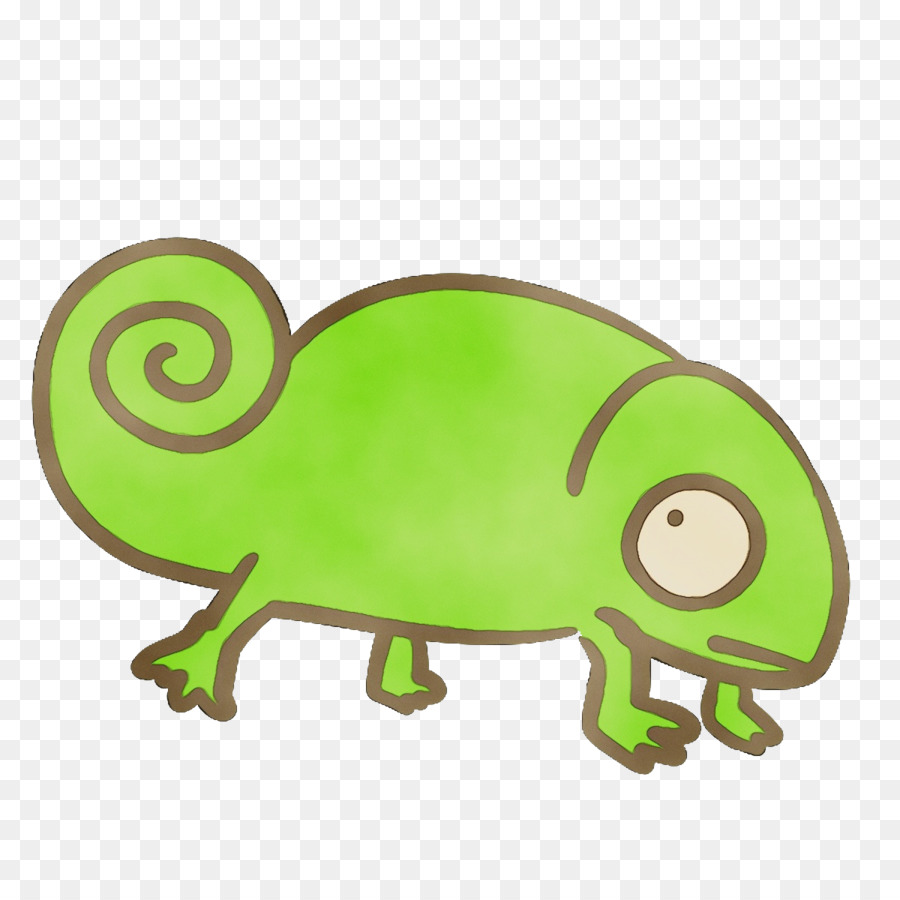 Répteis，Amphibians PNG